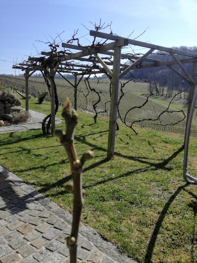 Das Weinberghaus Ratsch an der Weinstraße Esterno foto