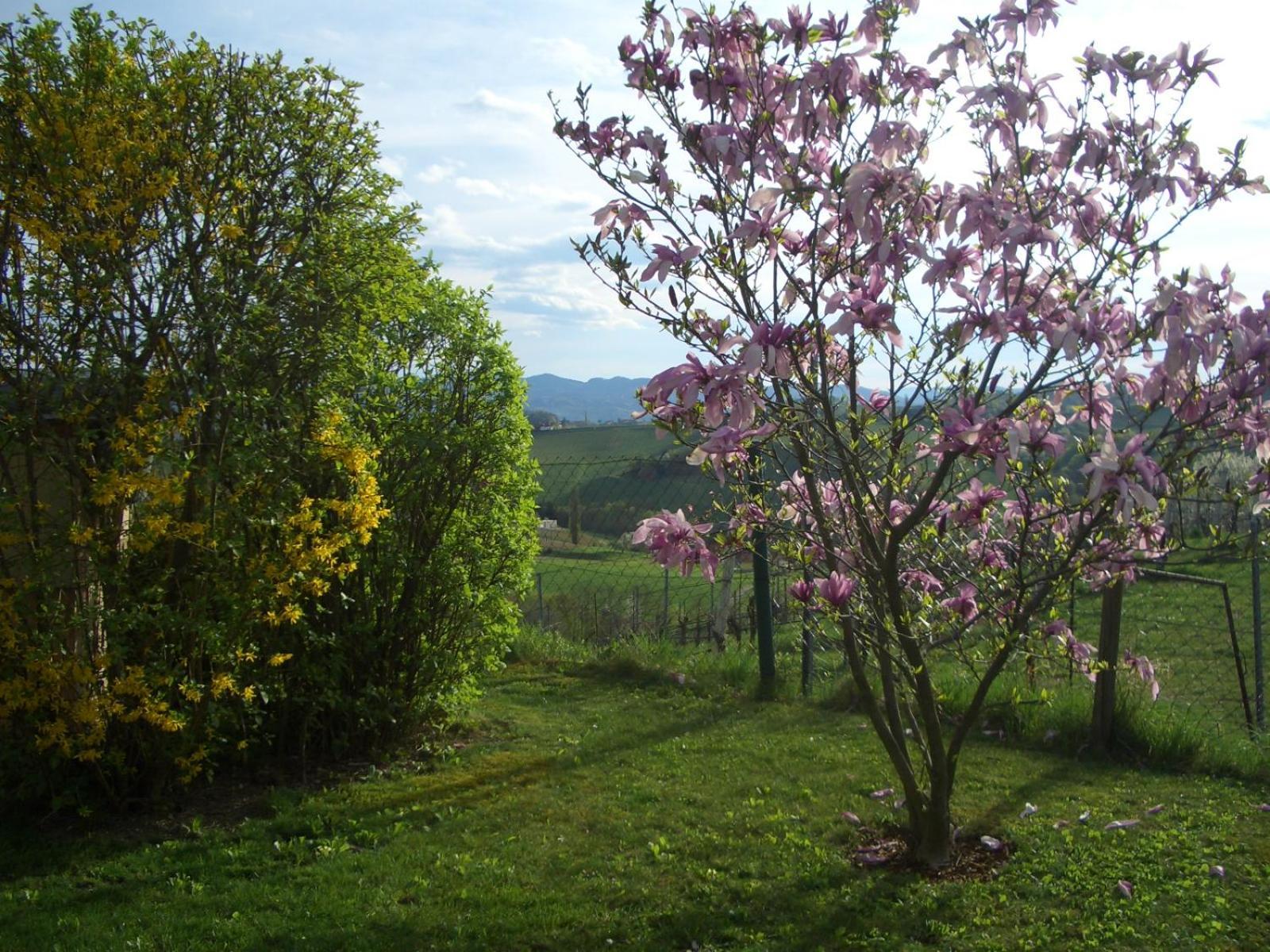 Das Weinberghaus Ratsch an der Weinstraße Esterno foto