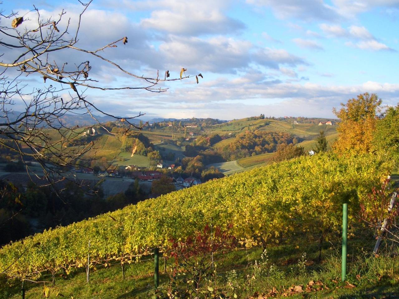 Das Weinberghaus Ratsch an der Weinstraße Esterno foto