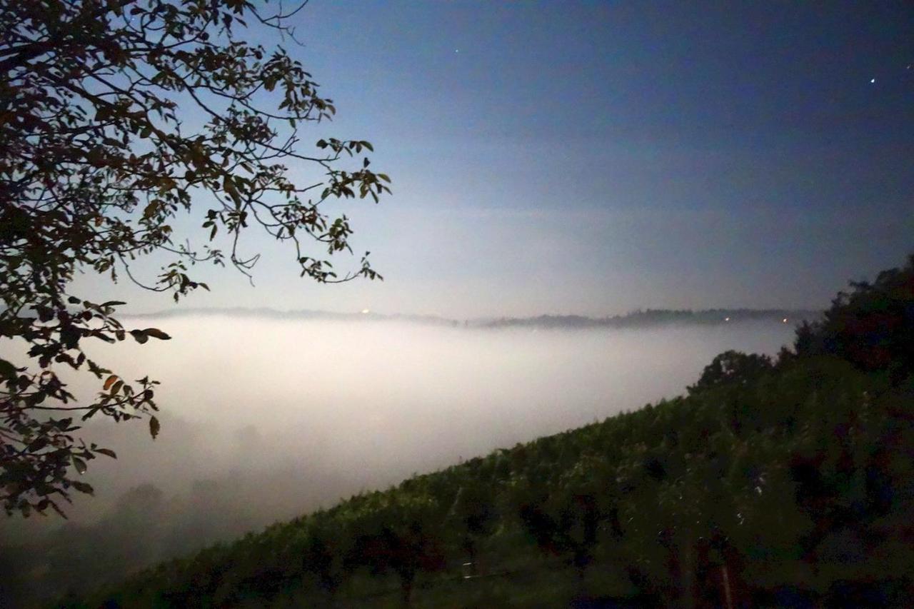 Das Weinberghaus Ratsch an der Weinstraße Esterno foto