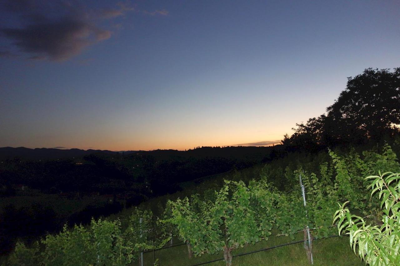 Das Weinberghaus Ratsch an der Weinstraße Esterno foto